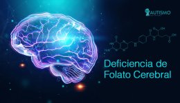 deficiencia-folato-cerebral-2.jpg